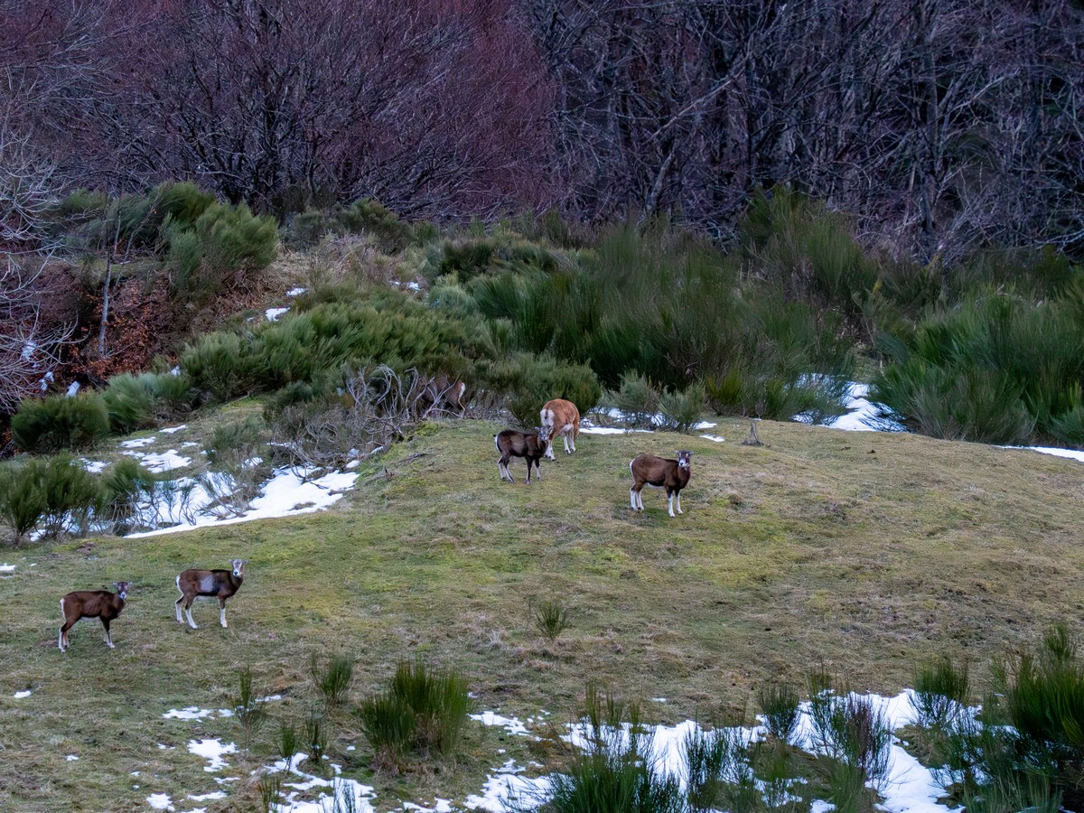 18012026-test (2).jpg